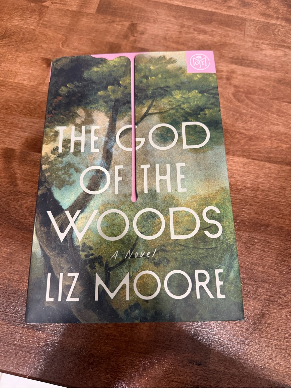 The God of the Woods by Liz Moore - Hardcover Novel